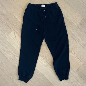 Wilfred X Aritzia buffoon jogger pant